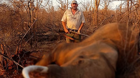 Los hechos, en Sudáfrica