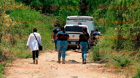 Aumentan a 14 los cuerpos localizados en fosas clandestinas de Villamar en Michoacán