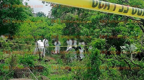 Hallan cadáver entre la maleza de un terreno, en Morelia