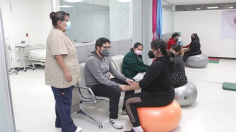 El Decálogo AMIIMSS se integra por: consulta preconcepcional, vigilancia prenatal, parto vaginal, cesárea, atención amigable y profesional, trato humano, planificación familiar, lactancia y prevención del embarazo adolescente