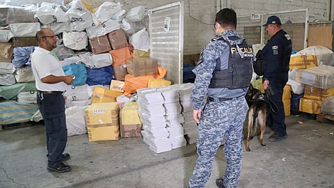 Realizaron una revisión a los más de 870 paquetes que estaban en la bodega con el uso de los caninos de ambas instituciones