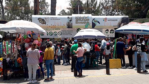 160 mil visitantes espera recibir el Zoológico de Morelia en verano