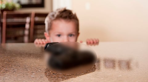 “Este incidente trágico que se pudo evitar", aseguró el comisario Lafayette Woods Jr