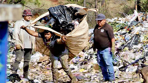 En Michoacán se recolectan por separado 69.51 toneladas al día de residuos, lo que representa el sólo el 1.6% del total de la generación diaria