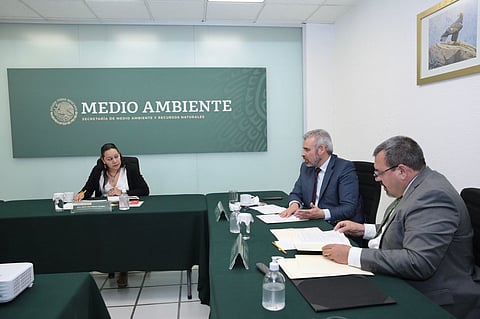 La tala legal e ilegal, la deforestación y el desarrollo urbano han destruido áreas sustanciales del refugio invernal de las mariposas en México y California