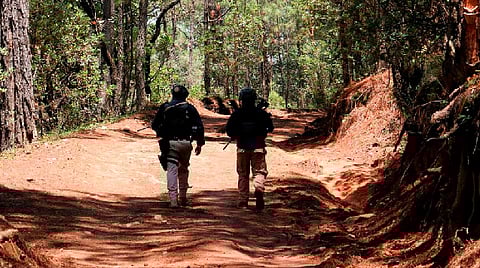 Personal de Agrupamiento Forestal y Ambiental efectúa labores de protección