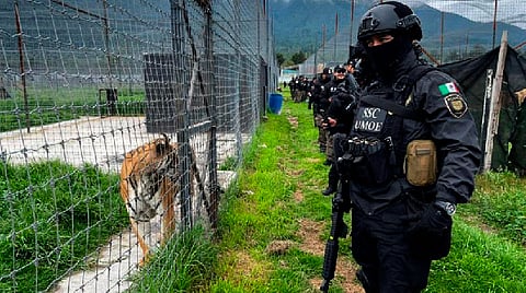 Policía de la CDMX asegura propiedad donde hallaron felinos maltratados