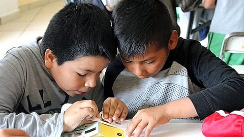 Los Gabinetes son el antecedente directo de los museos de ciencias y las colecciones científicas