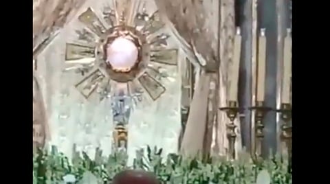De acuerdo a lo dicho por un sacerdote, el hecho fue captado el pasado martes 12 de julio de este año