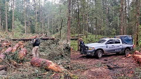 Se realizaron las diligencias correspondientes para deslindar responsabilidades y llevar a cabo el proceso adecuado a quienes resulten responsables