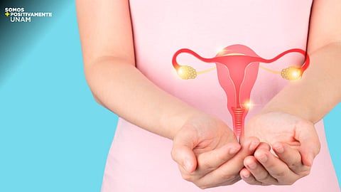 Al inicio es asintomático y puede pasar inadvertido