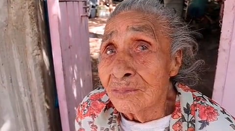 Sólo vive con sus gatitos y una perrita