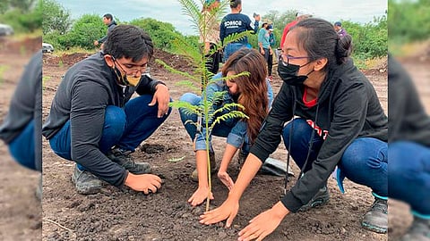 La intención es mejorar las condiciones del parque industrial Villa Avocado