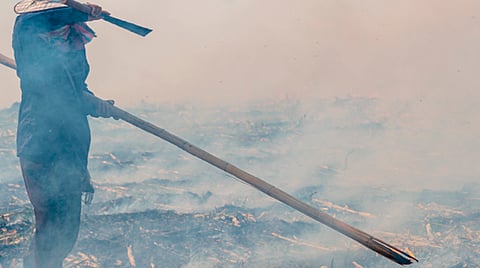 Cambio de uso de suelo, entre los motivos