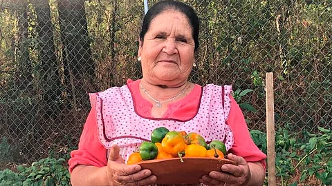 Su canal cuenta con más de 1 millón de seguidores