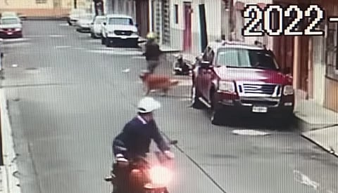 Maestra de la CNTE en Zacapu agrede a ciudadana