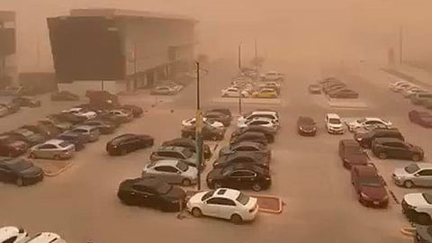 Tormenta de arena en Mexicali dejó 70 árboles y 33 postes caídos; no provocó muertes