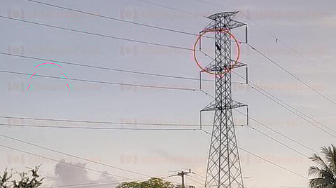 Michoacán: hombre trepa a torre de alta tensión