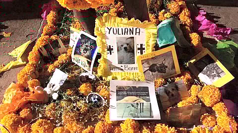 La avenida Madero, la sede del evento