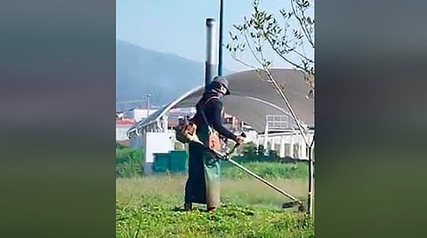 Chava de la UMSNH corta el pasto a falta de personal