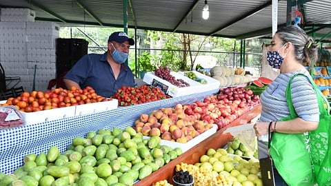 Esto on base en los resultados de la Encuesta Nacional de Ocupación y Empleo nueva edición del INEGI correspondientes al trimestre julio – septiembre del 2022