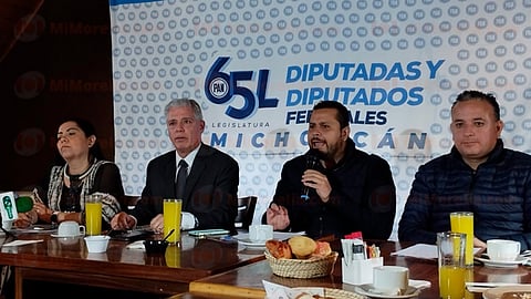 "Reforma electoral, no pasará", advierten diputados federales del PAN