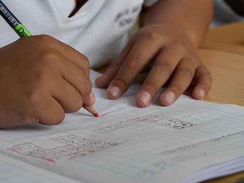 Las mejores opciones para mejorar el rendimiento escolar
