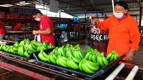 Actividad económica de Michoacán creció 1.2% durante tercer trimestre de 2022