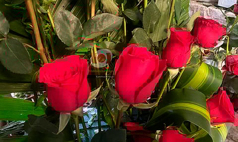 Floristas listos para el 14 de febrero ¿la docena de rosas en cuánto?