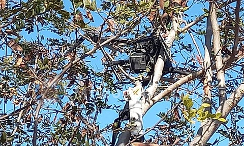 Encuentran dron con explosivos en Aguililla