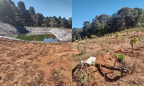 Las investigaciones continúan a efecto de esclarecer los hechos y dar con las personas responsables