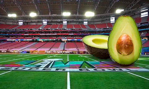Cierra envío de aguacate michoacano con 140 mil toneladas para Super Bowl