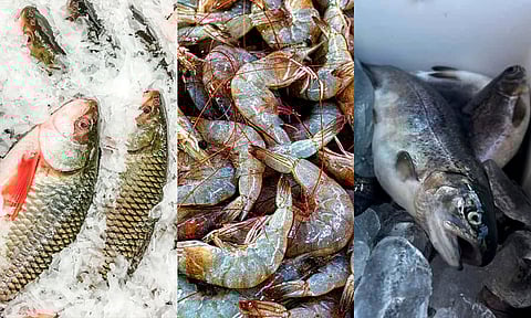 El propósito es fomentar el consumo de productos pesqueros y acuícolas michoacanos durante la temporada de Cuaresma