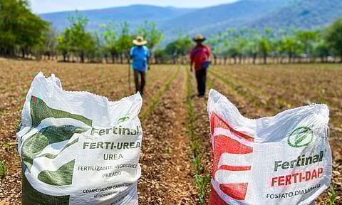 Distribución de fertilizante beneficiará a 70 mil productores de Michoacán