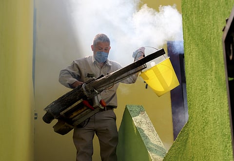 Sin tregua, acciones de combate contra dengue: SSM