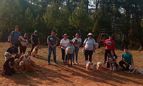 Alístate con tu lomito para la aventura en el Dog-Adictos, muy cerca de Morelia
