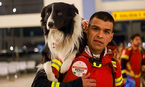 Rex, July, Orly y Balam, los perritos rescatistas que ayudarán en Turquía tras sismo