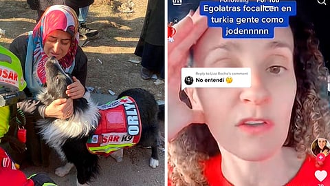 Argentina llama "infumables" a mexicanos por considerar héroes a perritos rescatistas