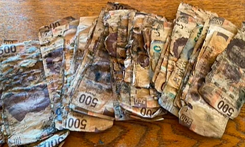 Ahorra para comprar un iPhone, entierra el dinero y se pudre