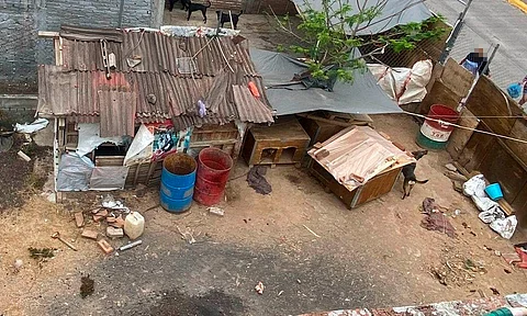 Vecinos reiteran denuncia ciudadana contra refugio de animales en pésimas condiciones, en Morelia