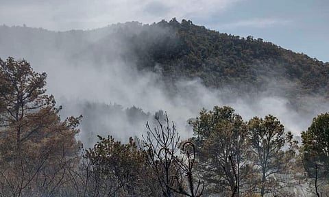 Controlan incendio forestal en el cerro del Estribo en Pátzcuaro