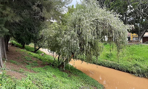 Que la cuenca del río Chiquito sea área federal protegida, llama Coeeco