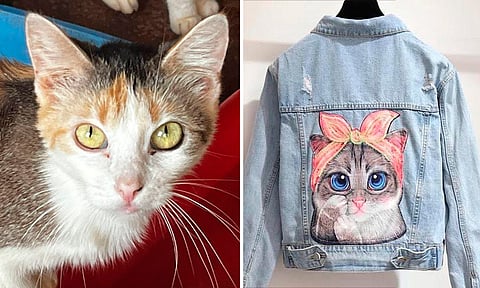 Organizan rifa para apoyar a refugio de gatitos en Morelia