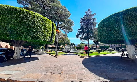 Retiran árboles secos en Plaza Villalongín de Morelia; tenían 10 años sin vida