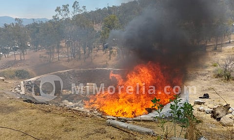 Destruyen más de 300 kilos de marihuana en Morelia