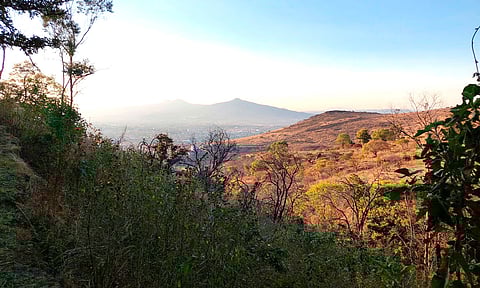 Inicia consulta para decretar como Área Natural Protegida el cerro del Quinceo