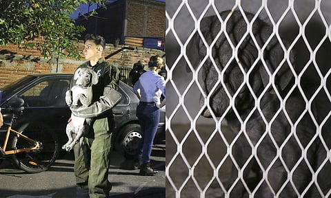 Al sitio arribaron elementos de la GN, SSP y Policía de Morelia, para brindar apoyo ante un posible riesgo