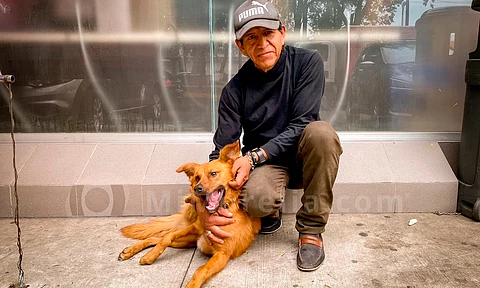 Conoce la historia de Oso, el perrito del Oxxo de la Chapultepec Sur