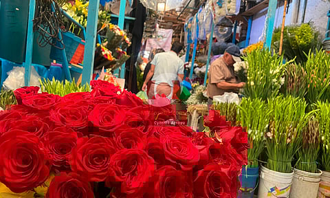 10 de mayo dejaría hasta 430 mdp de ganancias en este 2023