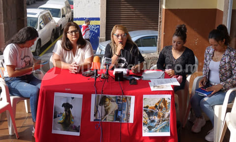 Animalistas exigen se atiendan casos de maltrato animal en Morelia